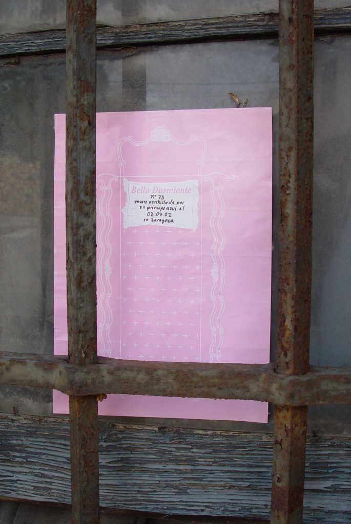 La imagen tiene un atributo ALT vacío; su nombre de archivo es begonarosas-001.jpg